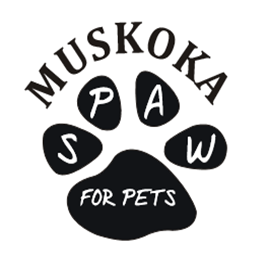 Muskoka Spaw for Pets